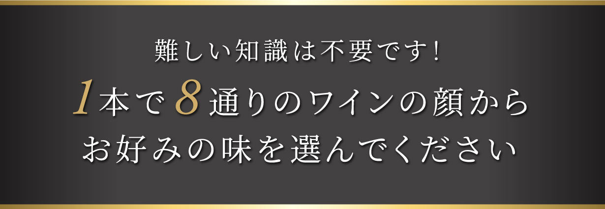 Vinxper Expert 電動ワインエアレーター
