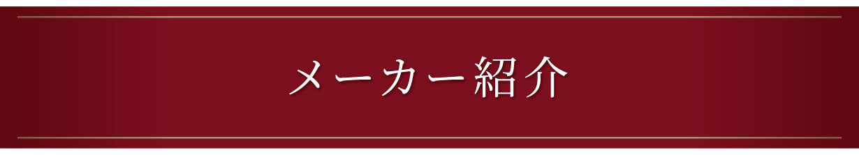 Vinxper メーカー紹介